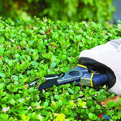 Heavy Duty Pruning Shears - Stainless Steel Garden Scissors with Ergonomic Grip