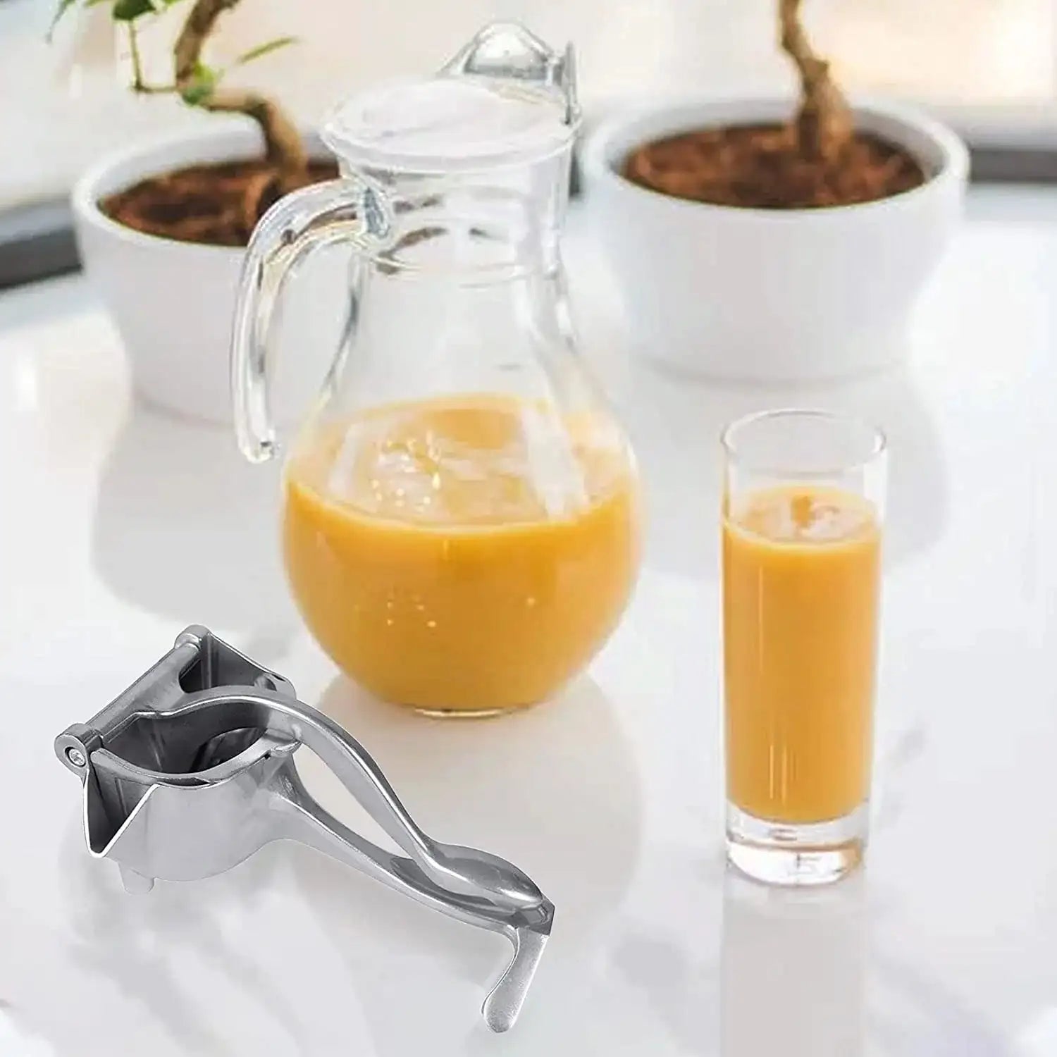 Manual Aluminium Metal Fruit Press Juicer  ( Brown Box ) - LootFaat
