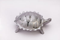Multipurpose Tortoise Shape Dry Fruit Gift Box - LootFaat