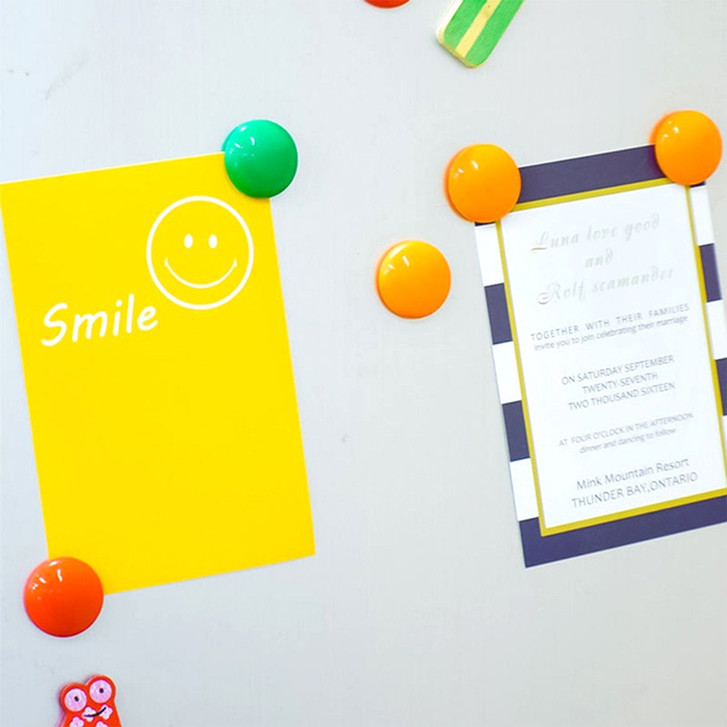 Colorful Board Magnets Circular Plastic Buttons - LootFaat