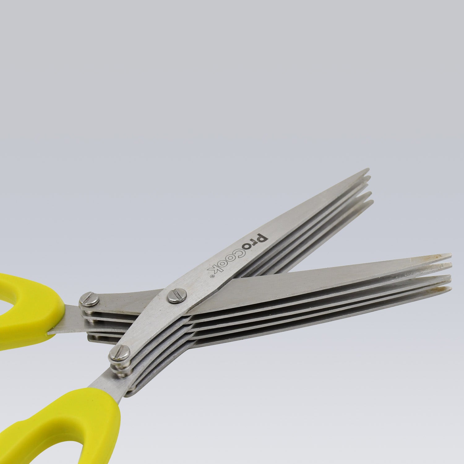 Multifunction Vegetable Stainless Steel Herbs Scissor With 5 Blades (1 Pc) - LootFaat