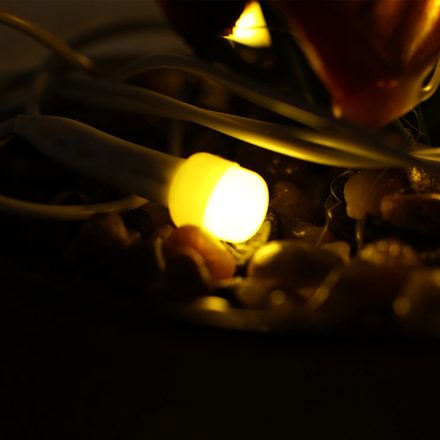 8M Warm LED String Lights - Diwali, Christmas & Home Decor
