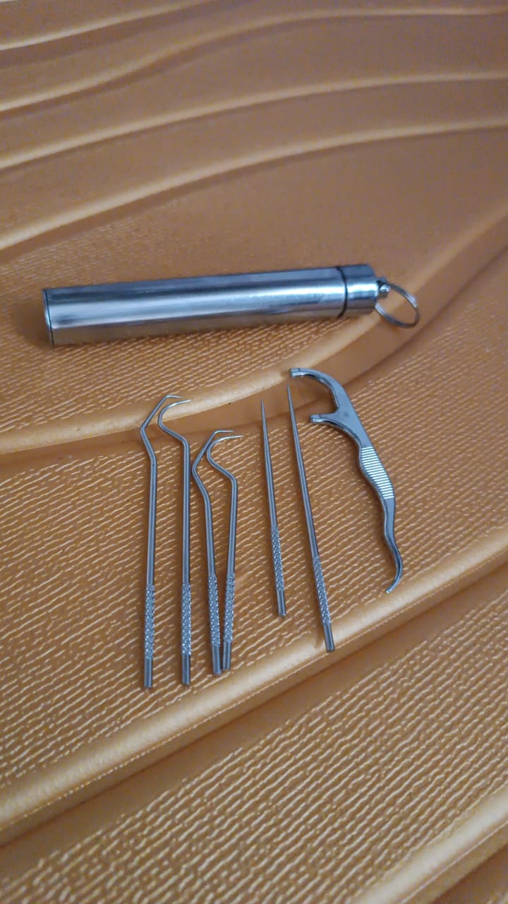7 In 1 Stainless Steel Toothpick Flossier Set (1 Set  With Case) - LootFaat