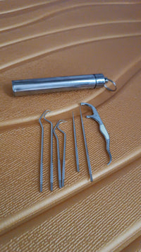 7 In 1 Stainless Steel Toothpick Flossier Set (1 Set  With Case) - LootFaat